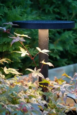 Garden 24 Downlight Svart 5W