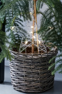 Gardener Juldekoration Stjärna