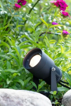 Garden 24 Spotlight Svart 3W