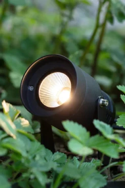 Garden 24 Spotlight Svart 6W