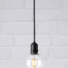 Garden 24 Taklampa Globe Svart/Klar
