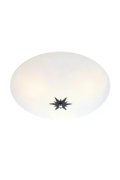 Rose Plafond Vit 43 cm