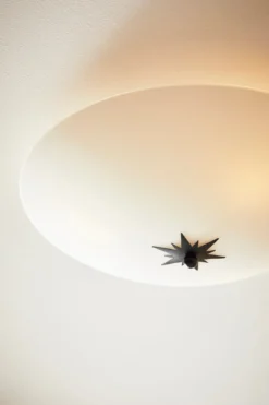 Rose Plafond Vit 43 cm
