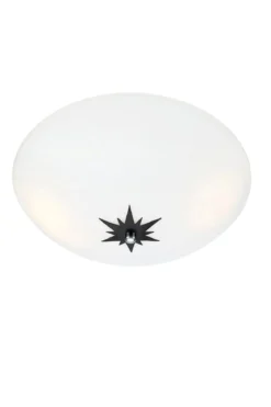 Rose Plafond Vit 35 cm