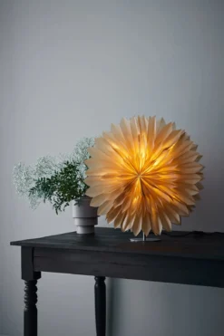 Solina Bordsstjärna Nougat 60 cm
