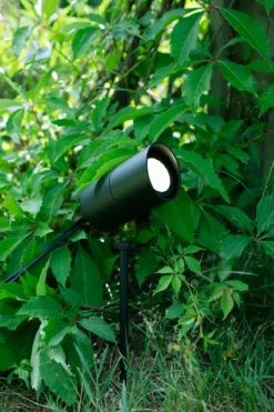Unite 12 Spotlight Svart 3W