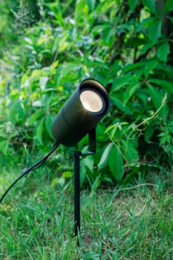 Unite 12 Spotlight Svart 6W
